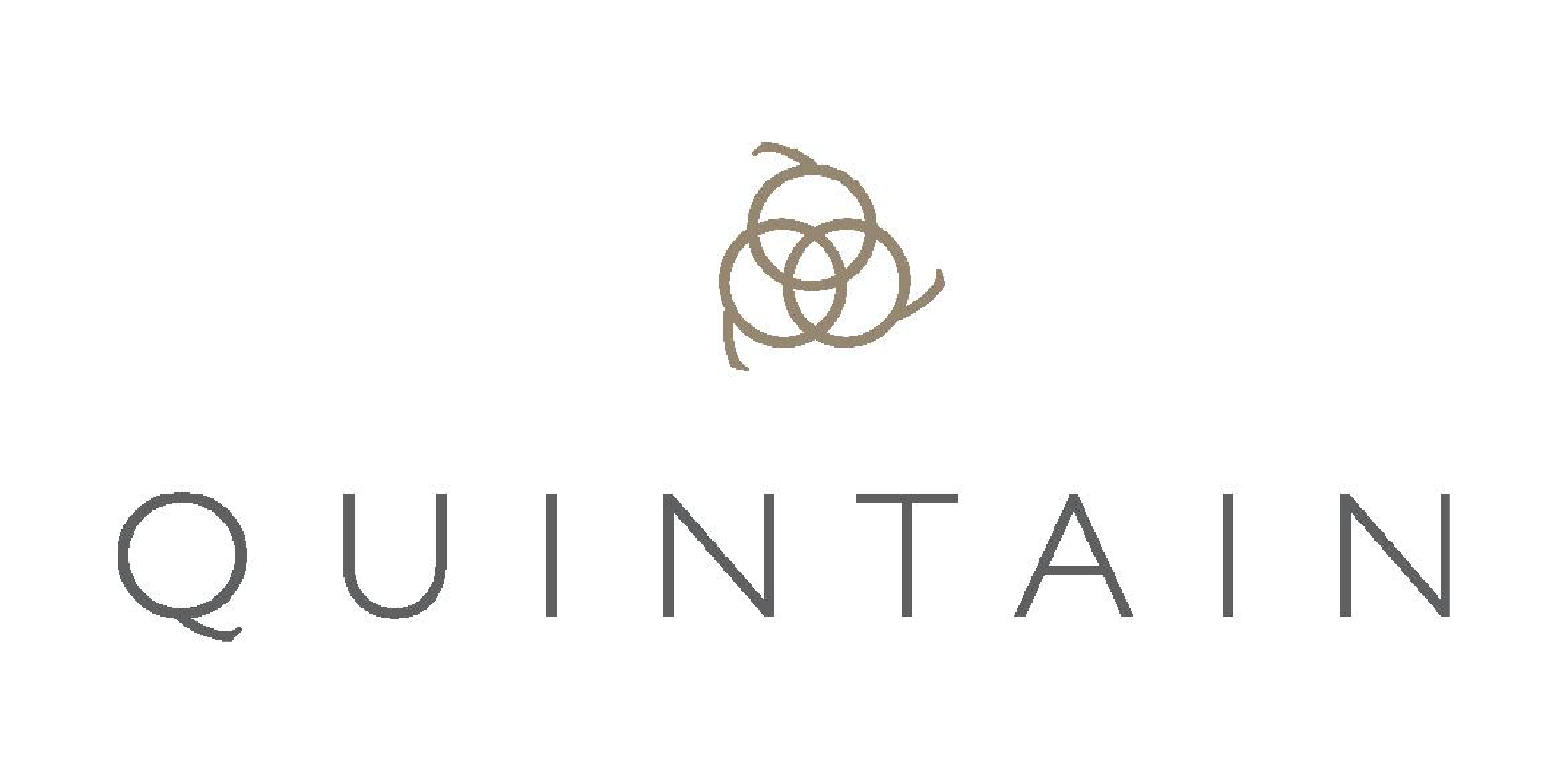 quintain logo