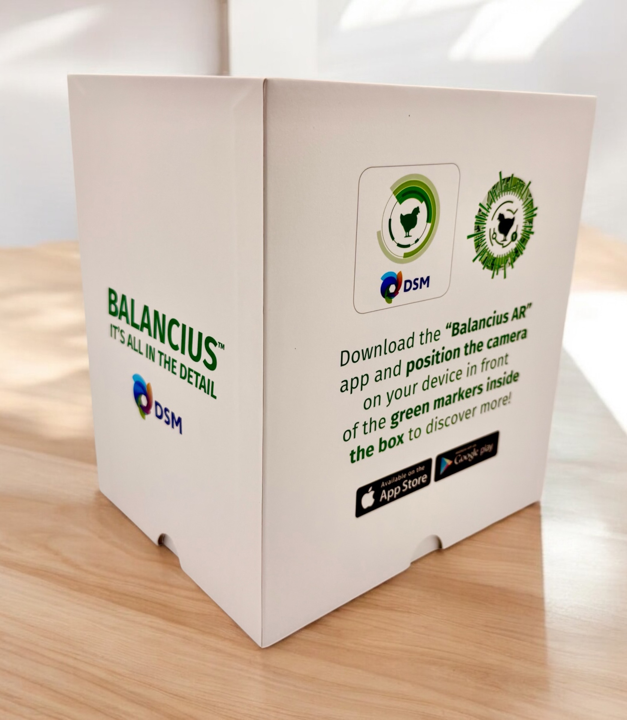 Poultry In Motion Box